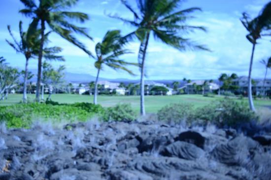 Puako Petroglyph Archaeological Preserve